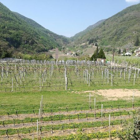 Agriturismo Le Cavade Cembra Lisignago Eksteriør billede