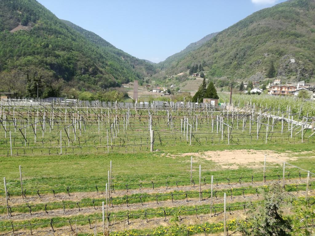 Agriturismo Le Cavade Cembra Lisignago Eksteriør billede